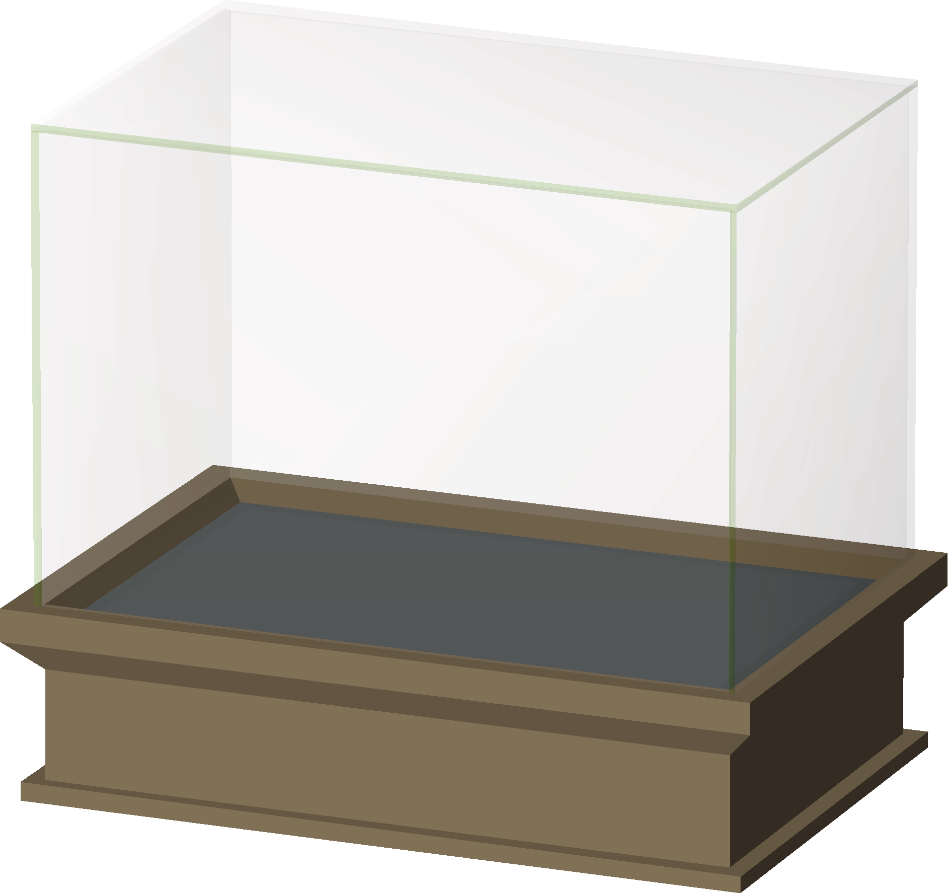 Small Fossil Display (Biclopse)
