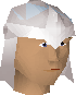 Armadyl blessed dragonhide armour