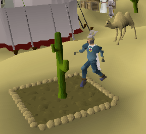 Money making guide/Picking cactus spines
