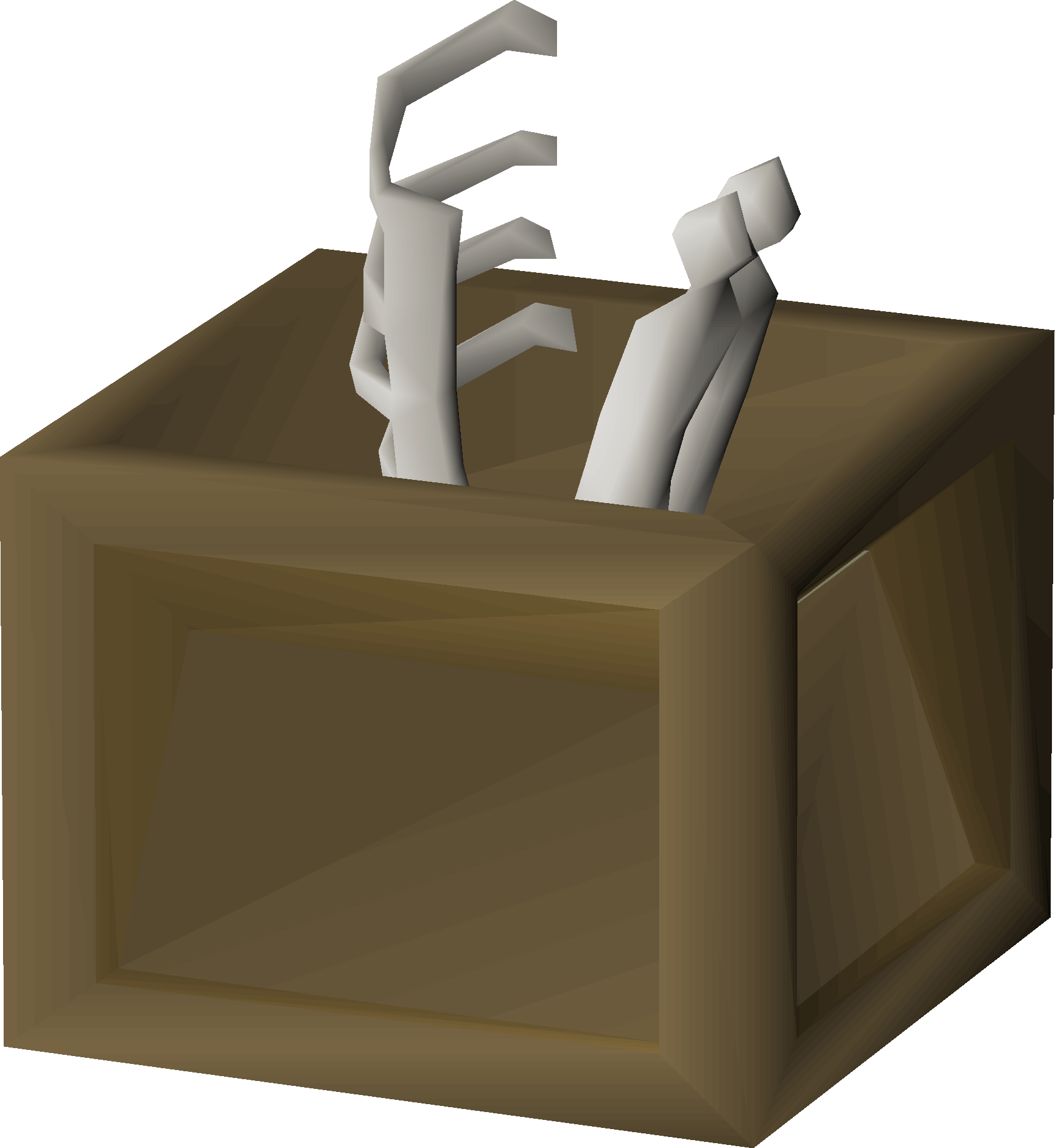 Box of bones