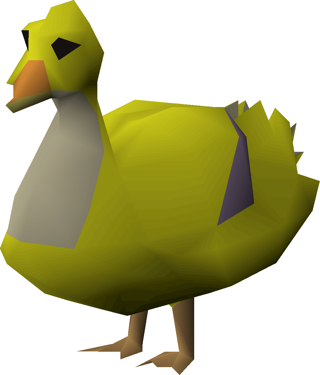 Erin (duck)