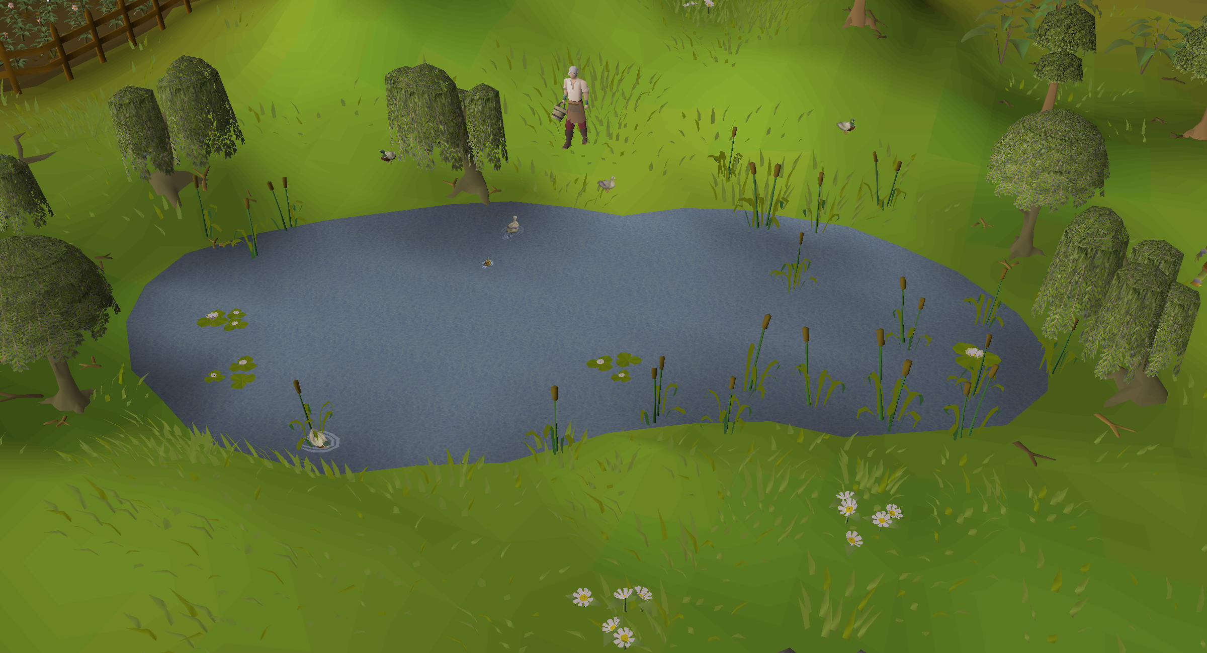 Lumbridge pond