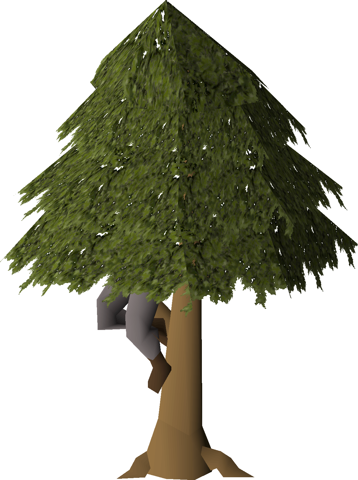 Tree (Draynor guard)