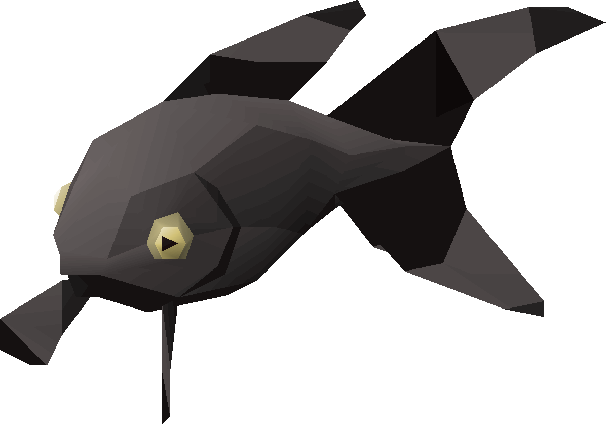 Fish (black moor fantail)