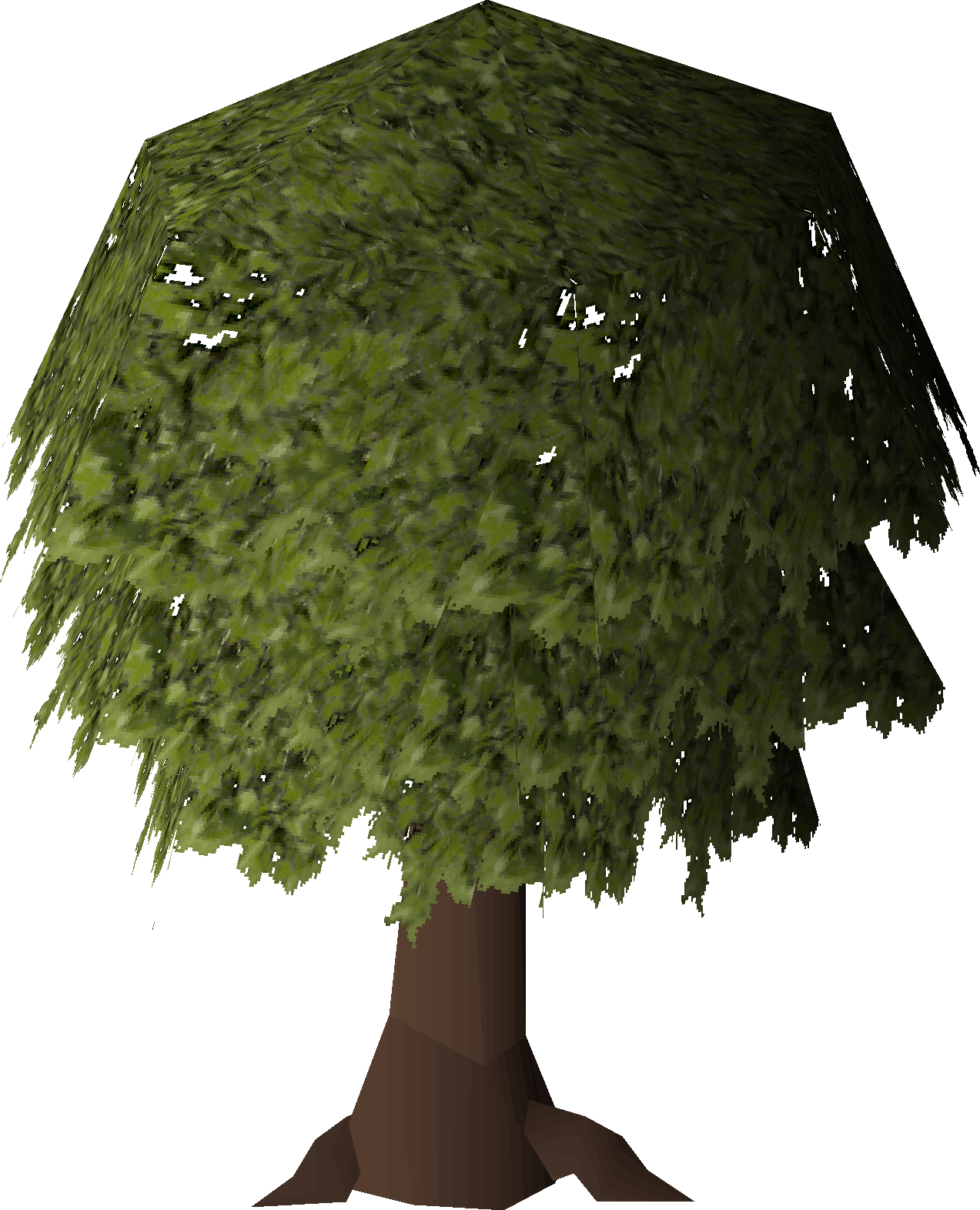 Oak tree (The Node)