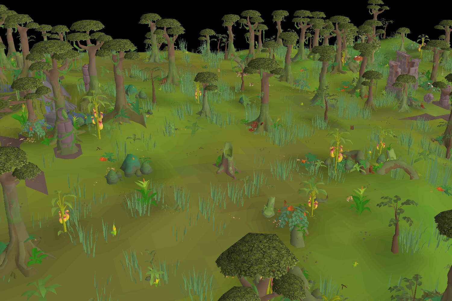 Tlati Rainforest