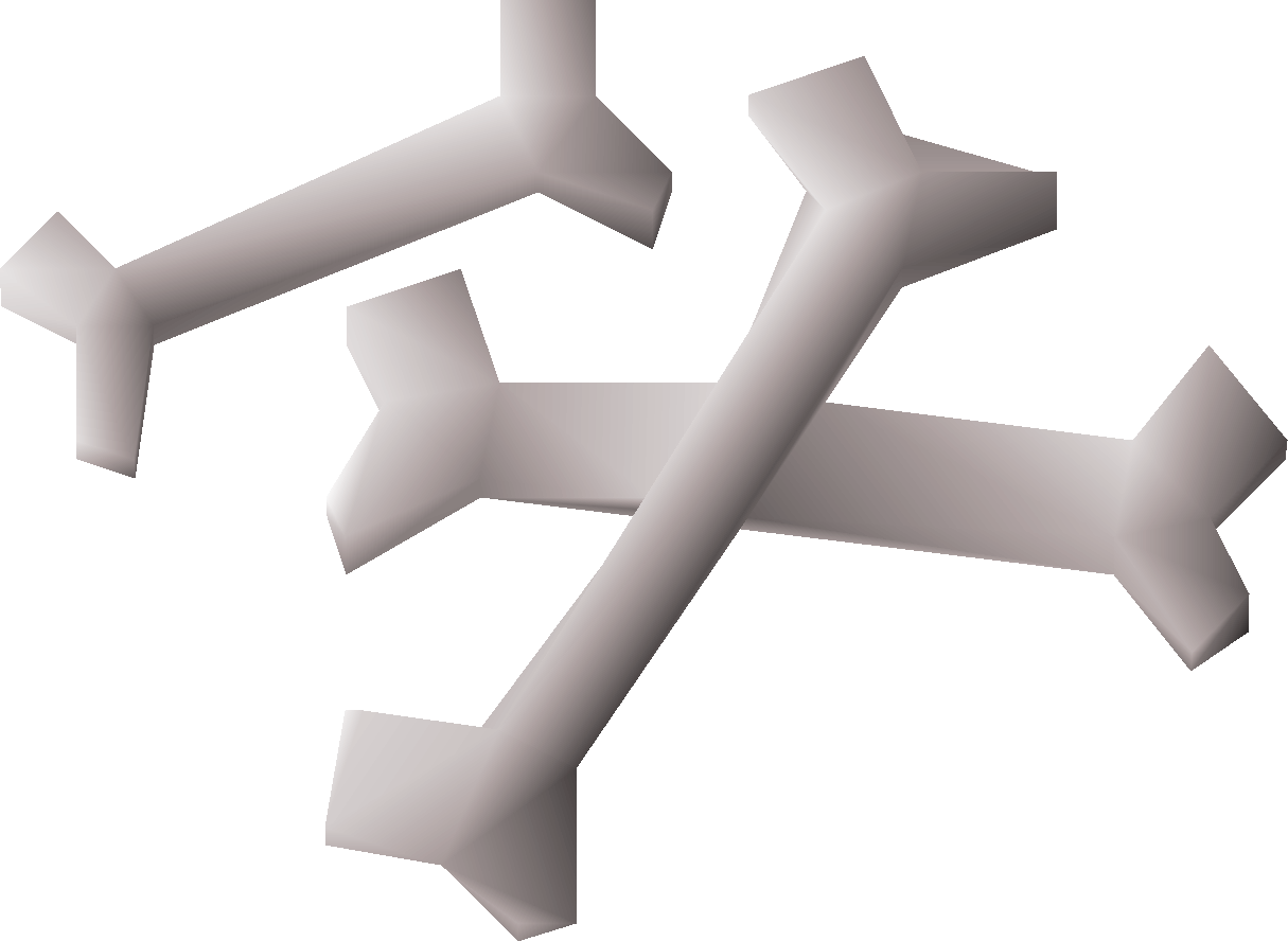 Human bones