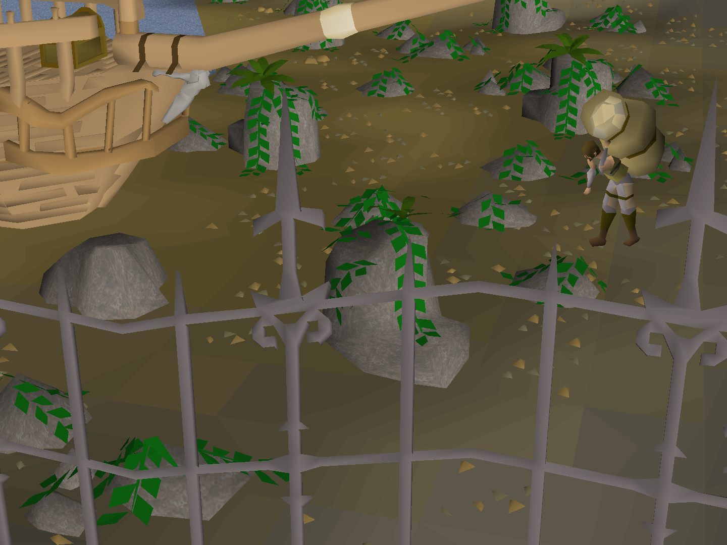 Darren's Wilderness Cape Shop.