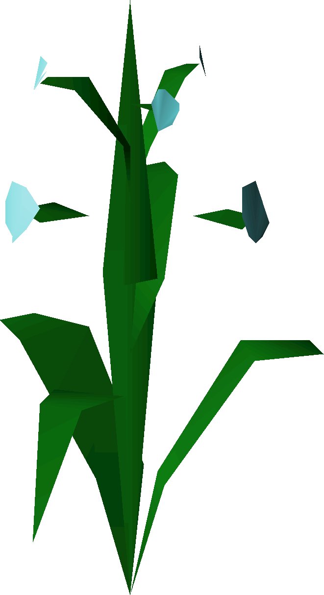 Flax (plant)