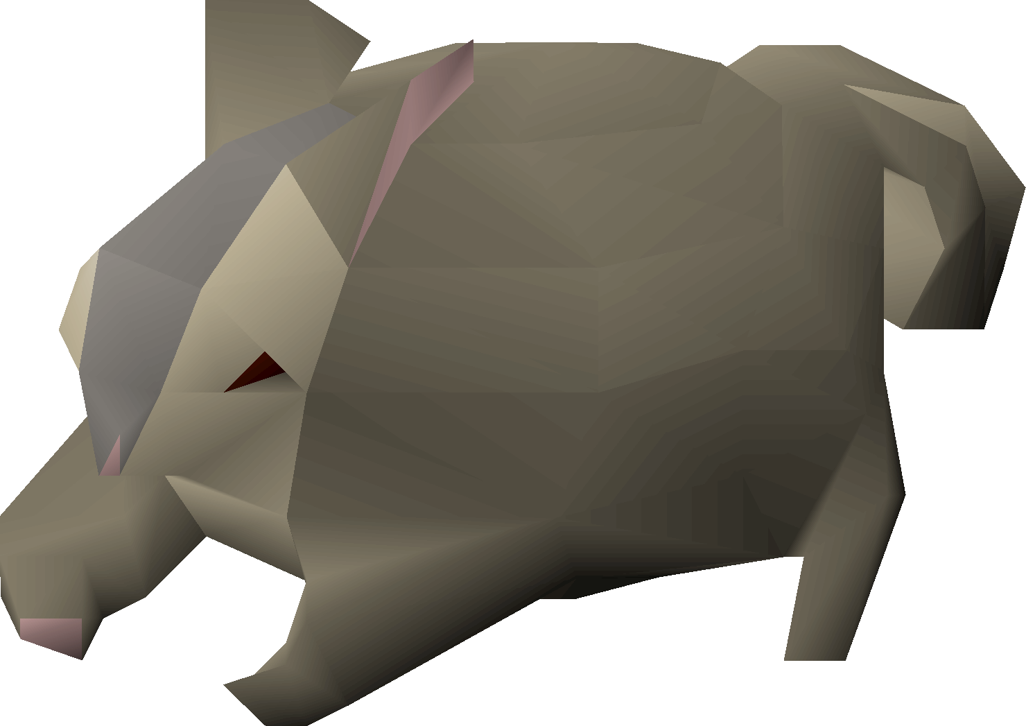 Baby chinchompa