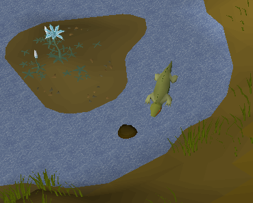 Stepping stone (River Elid)