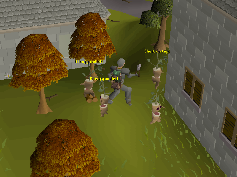 Friendly Ent (Forestry event)
