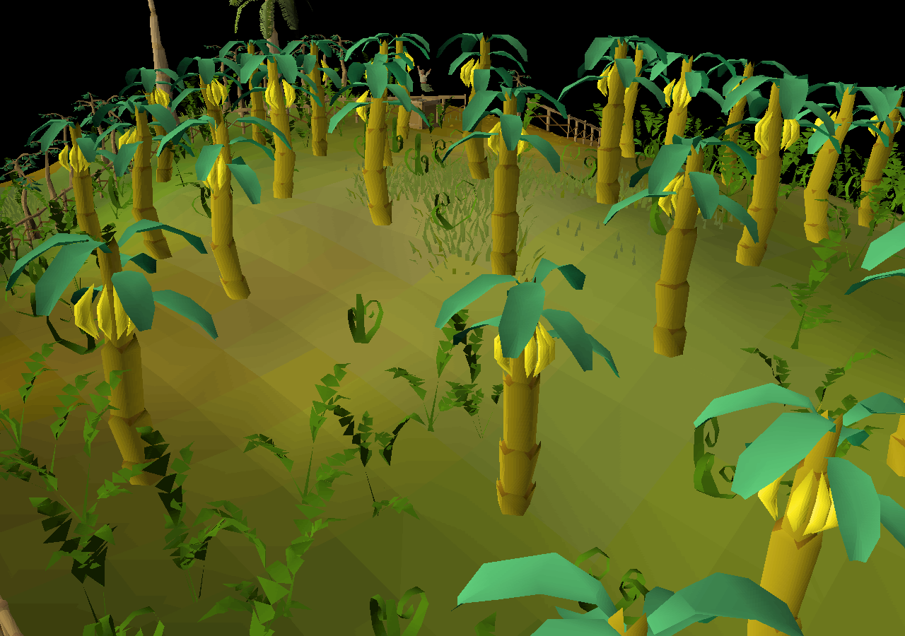 Banana plantation