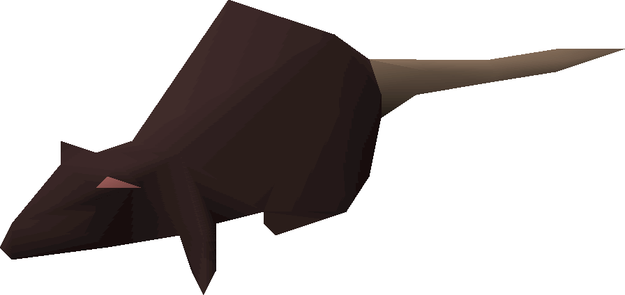 King rat