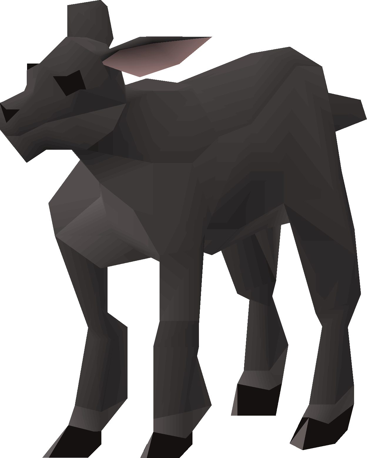 Lamb