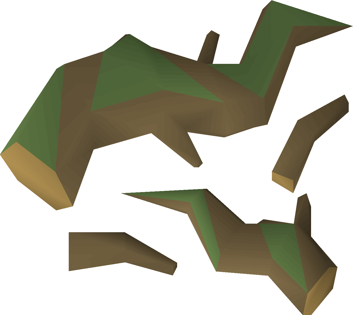 Ancient roots