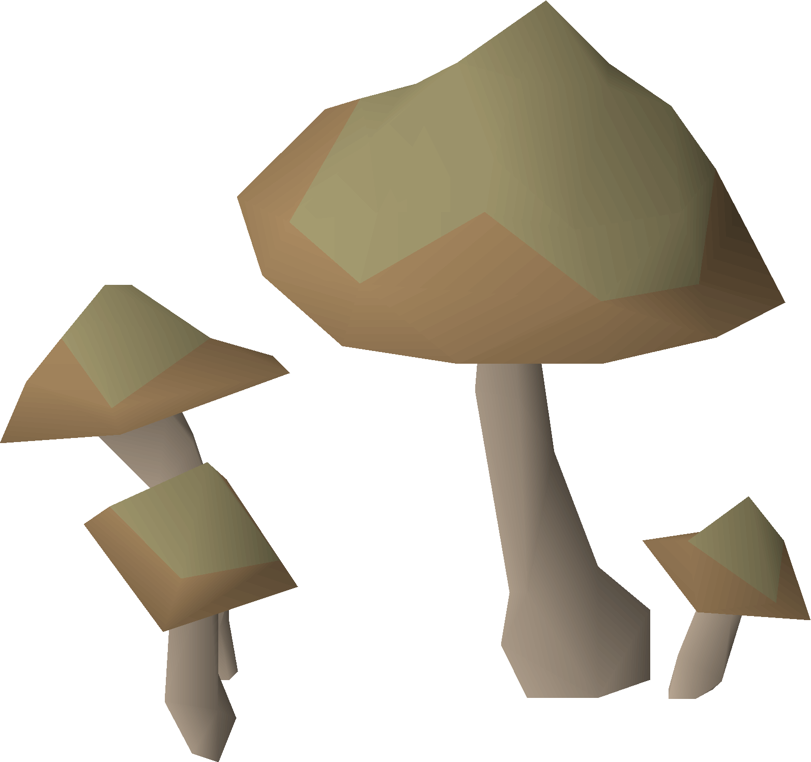 Wild mushrooms