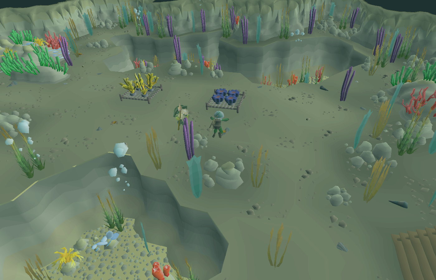 Coral Nurseries