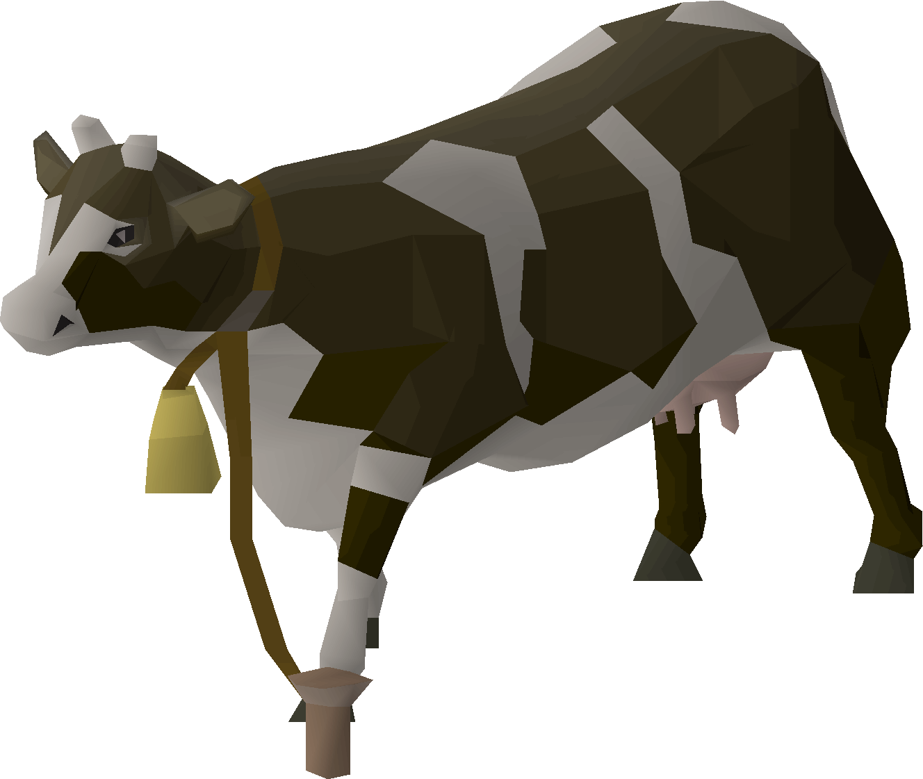 Dairy cow