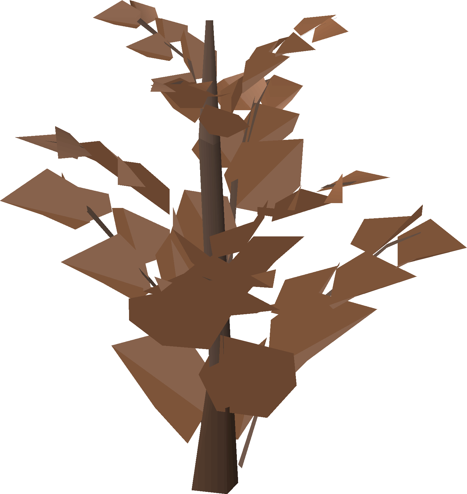 Leafy bush
