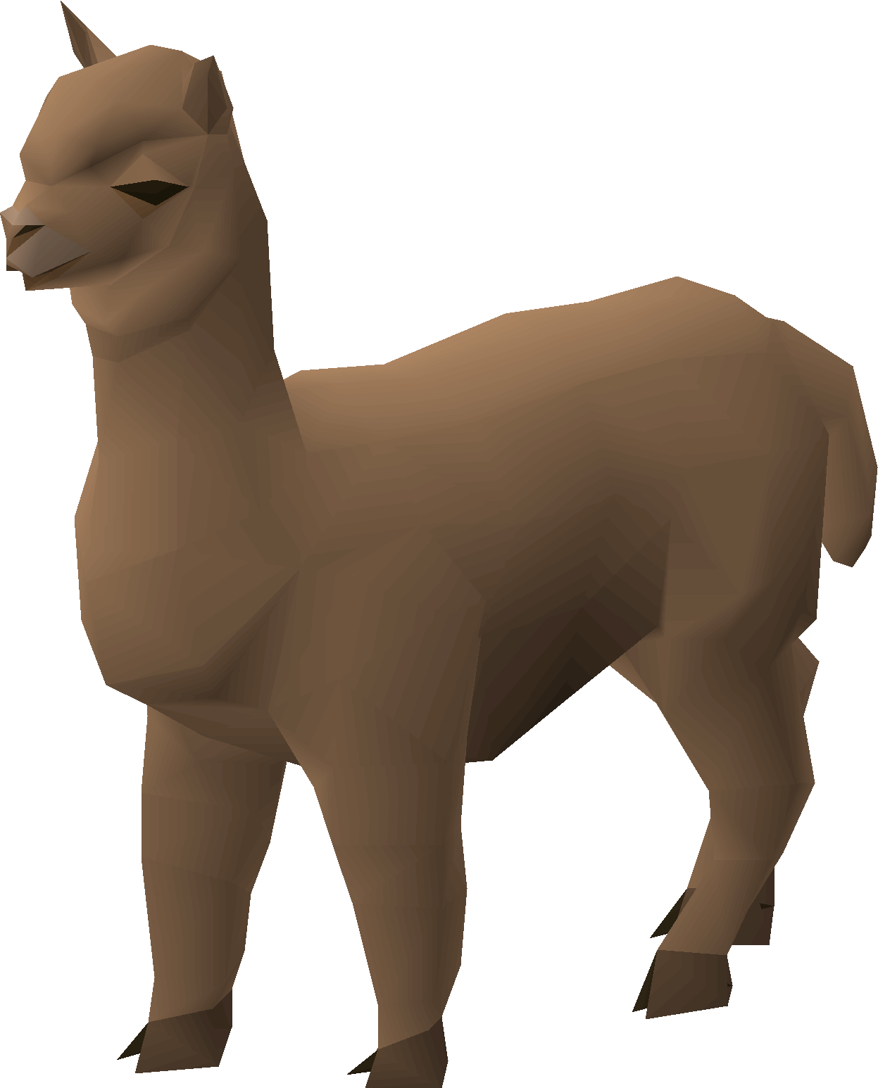 Alpaca
