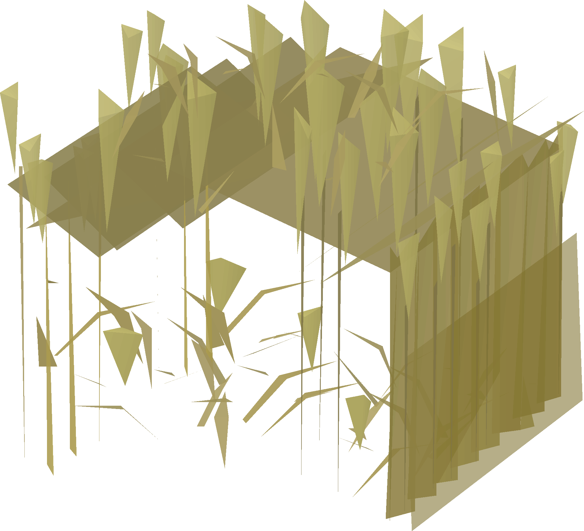 Growing wheat