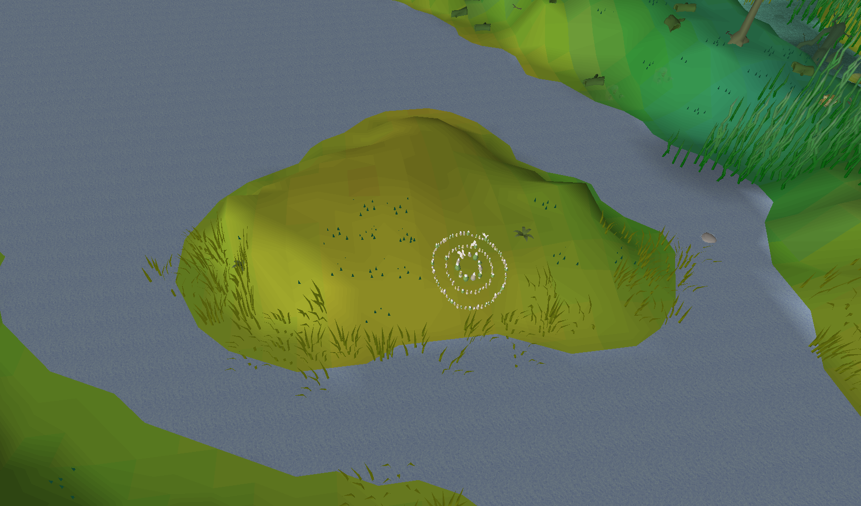 Unnamed island (River Salve)