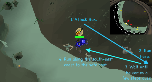 Money making guide/Killing Dagannoth Kings (Rex only)