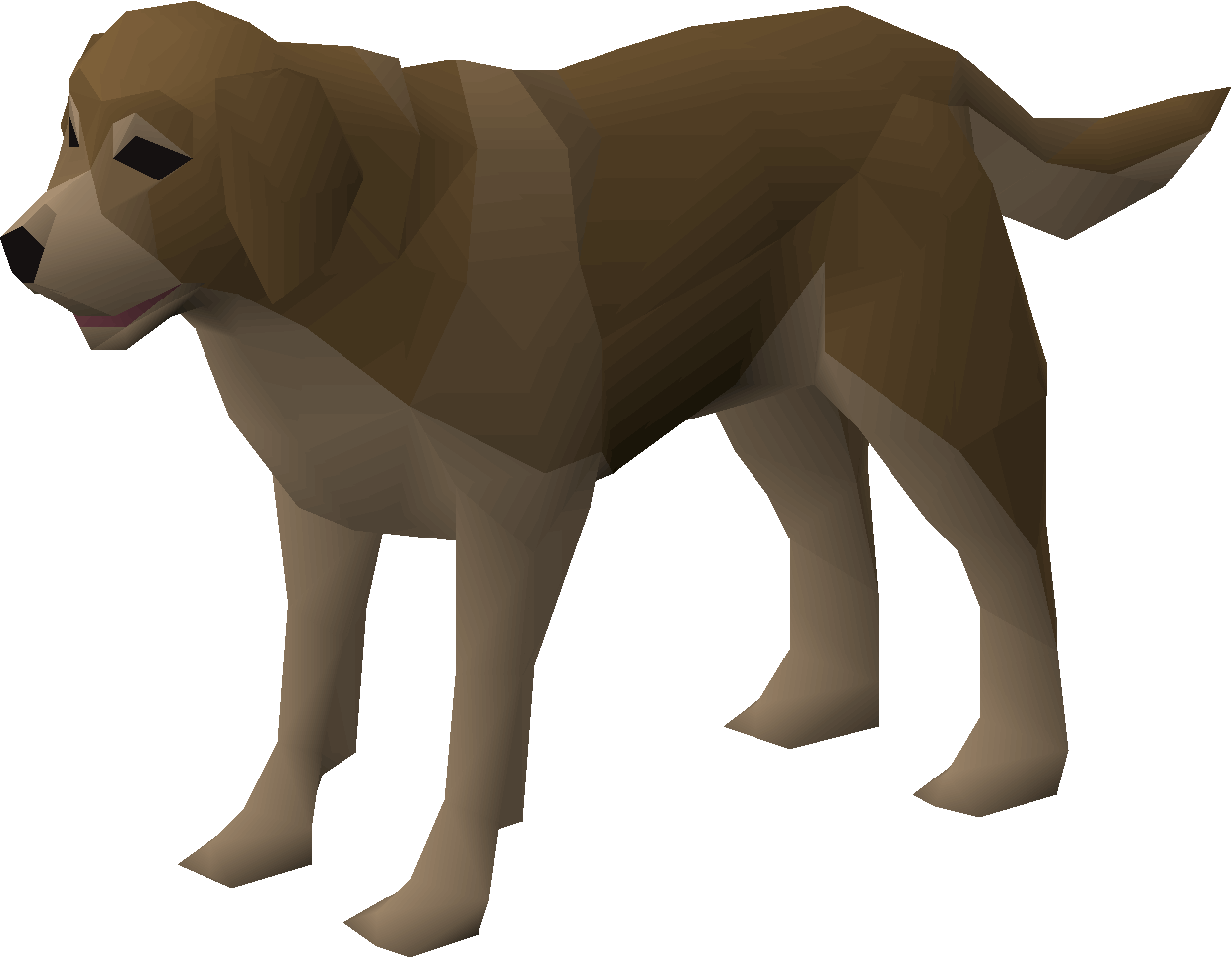 Molossus