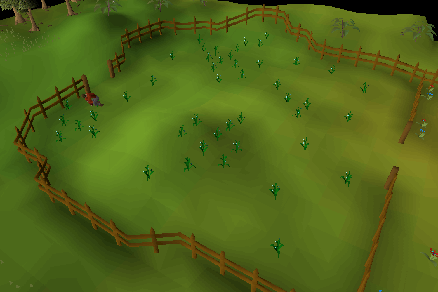 Flax field