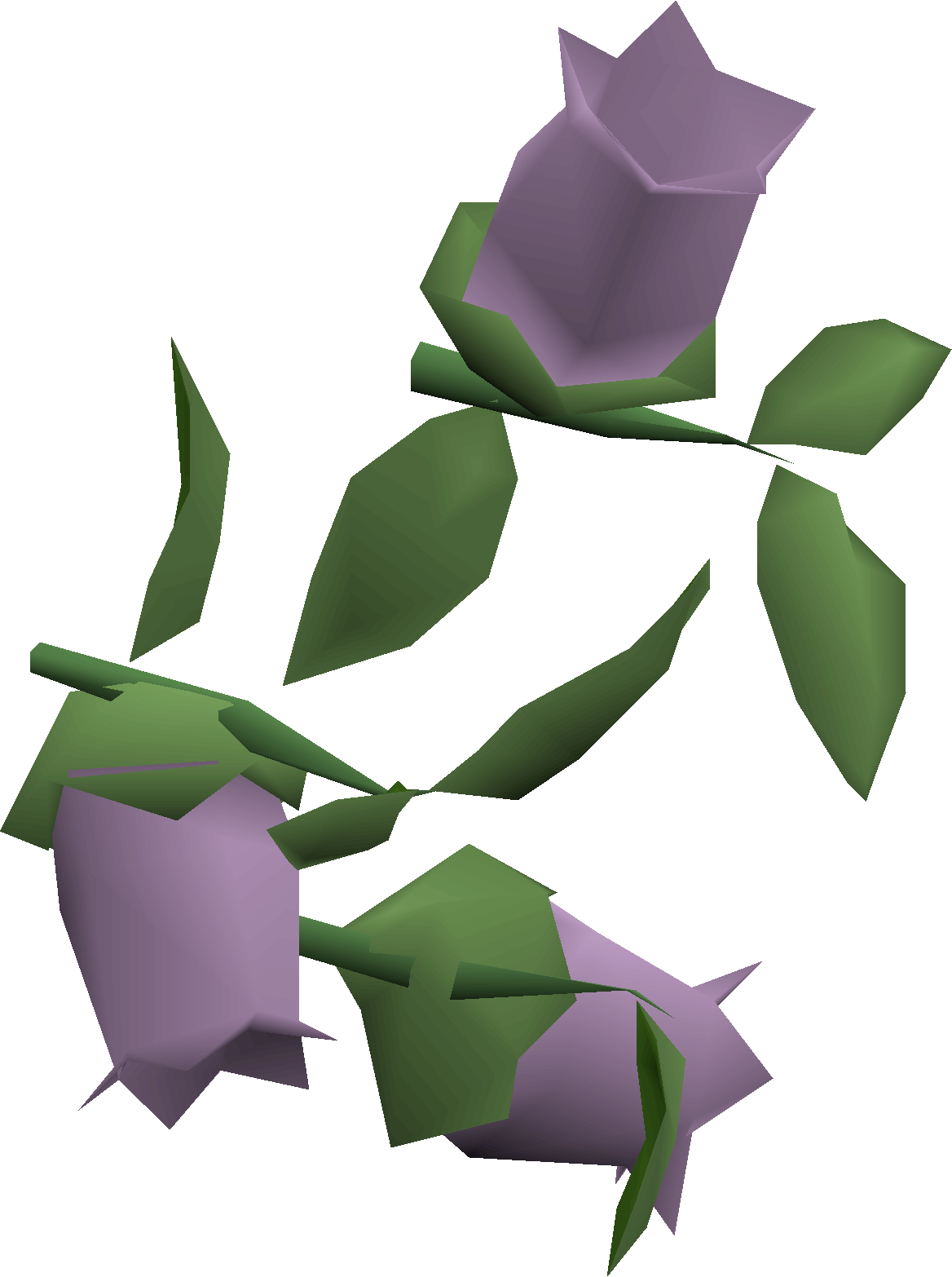 Nightshade