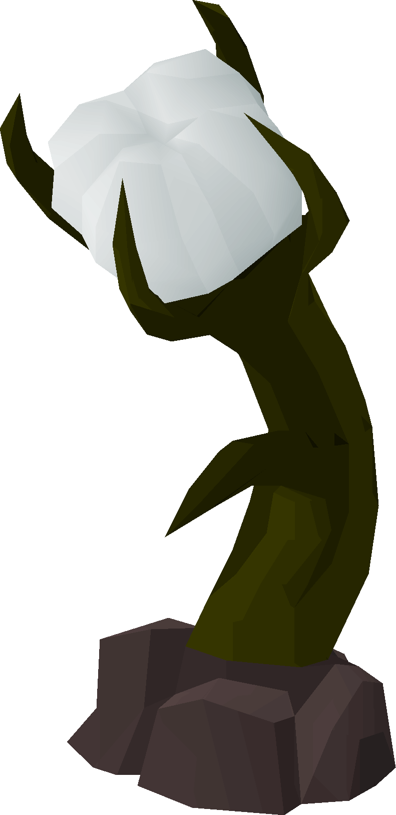 Corrupt Linum Tirinum (plant)