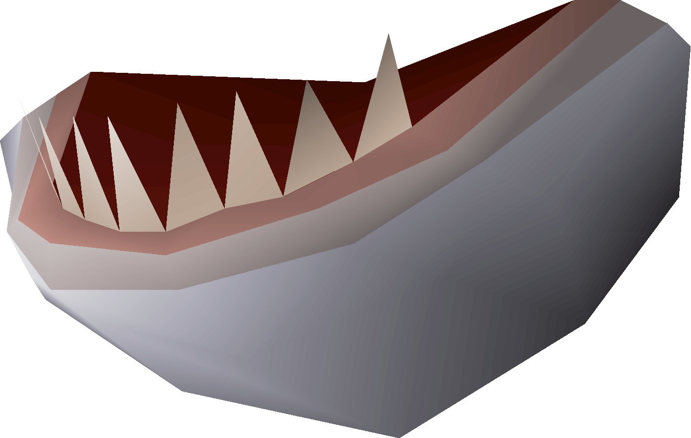 Great white shark jaw