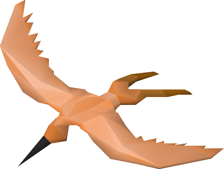 Copper longtail