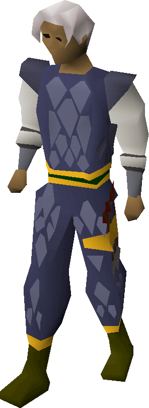 Blue d'hide gold-trimmed armour