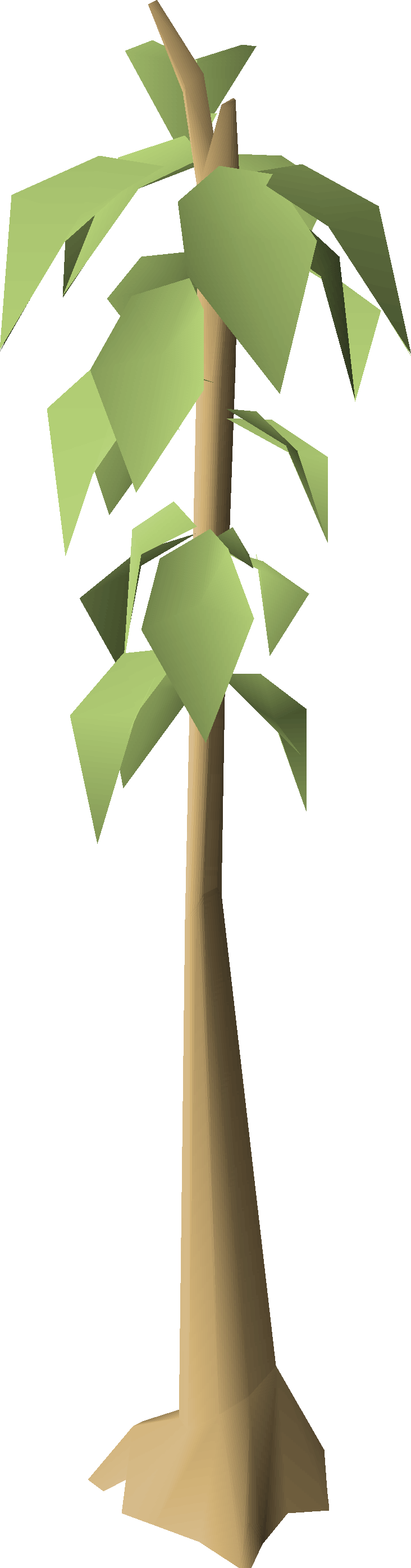 Teak tree (Farming)