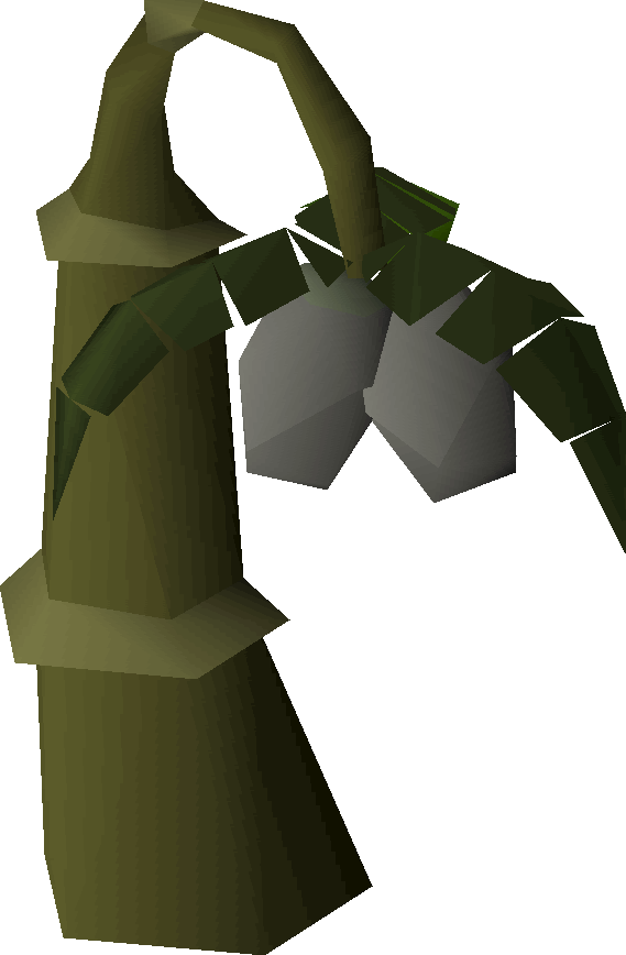 Gourd tree