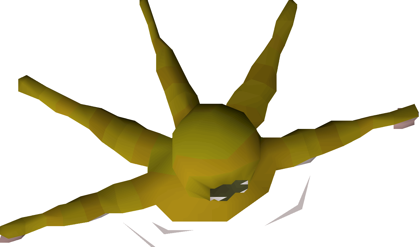 Pet kraken