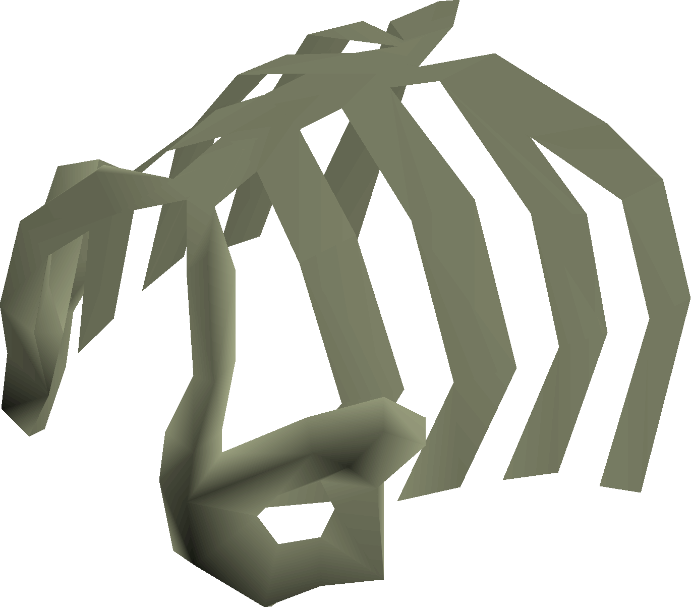 Rare fossilised ribs