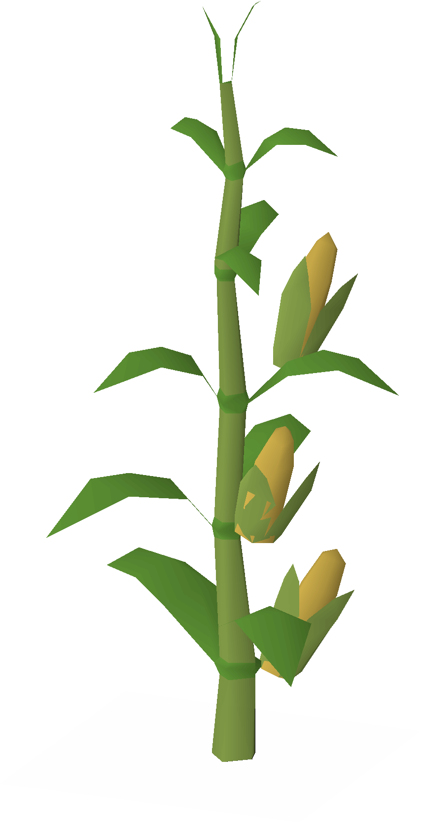 Sweetcorn (scenery)