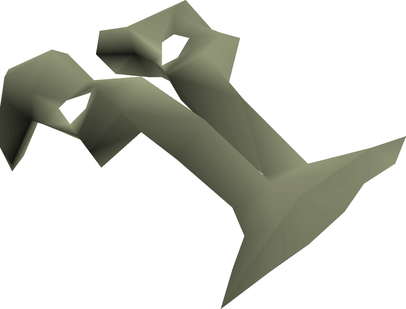 Rare fossilised pelvis