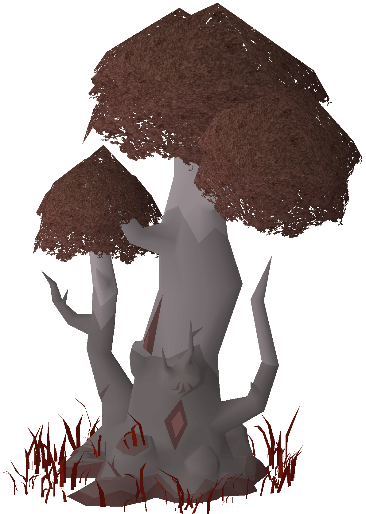 Darkwood tree