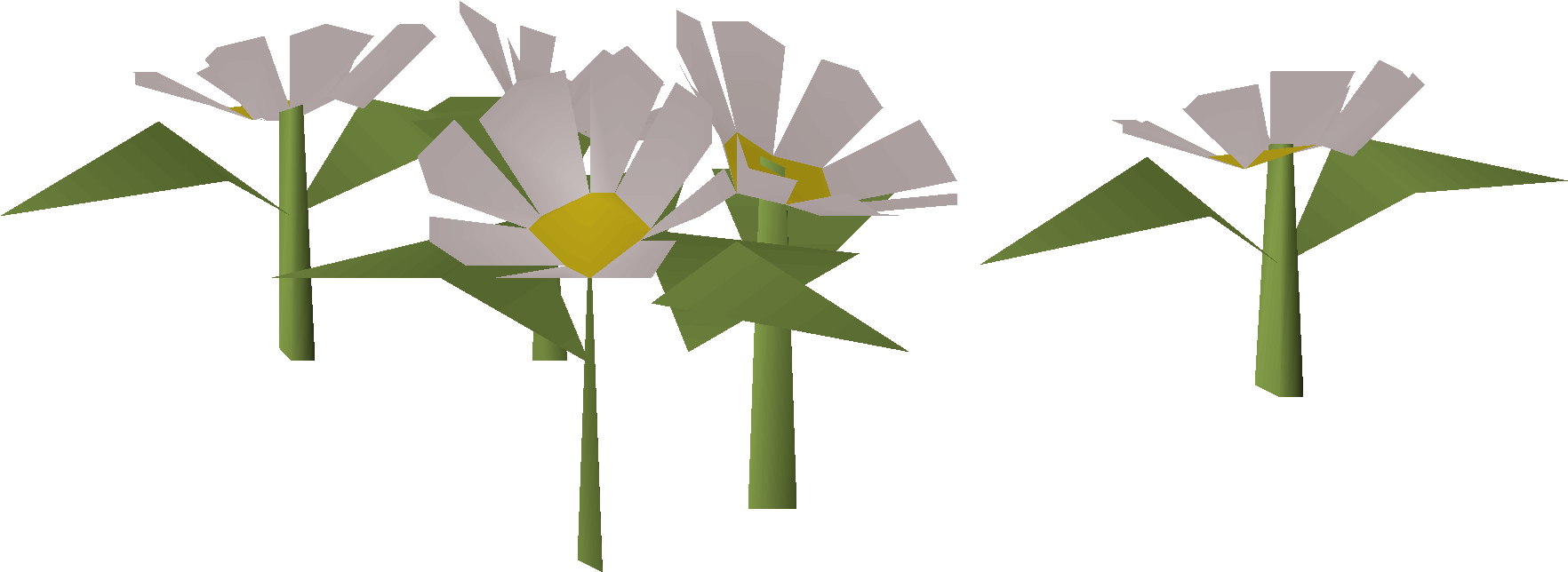 Daisies (2024 Easter event)