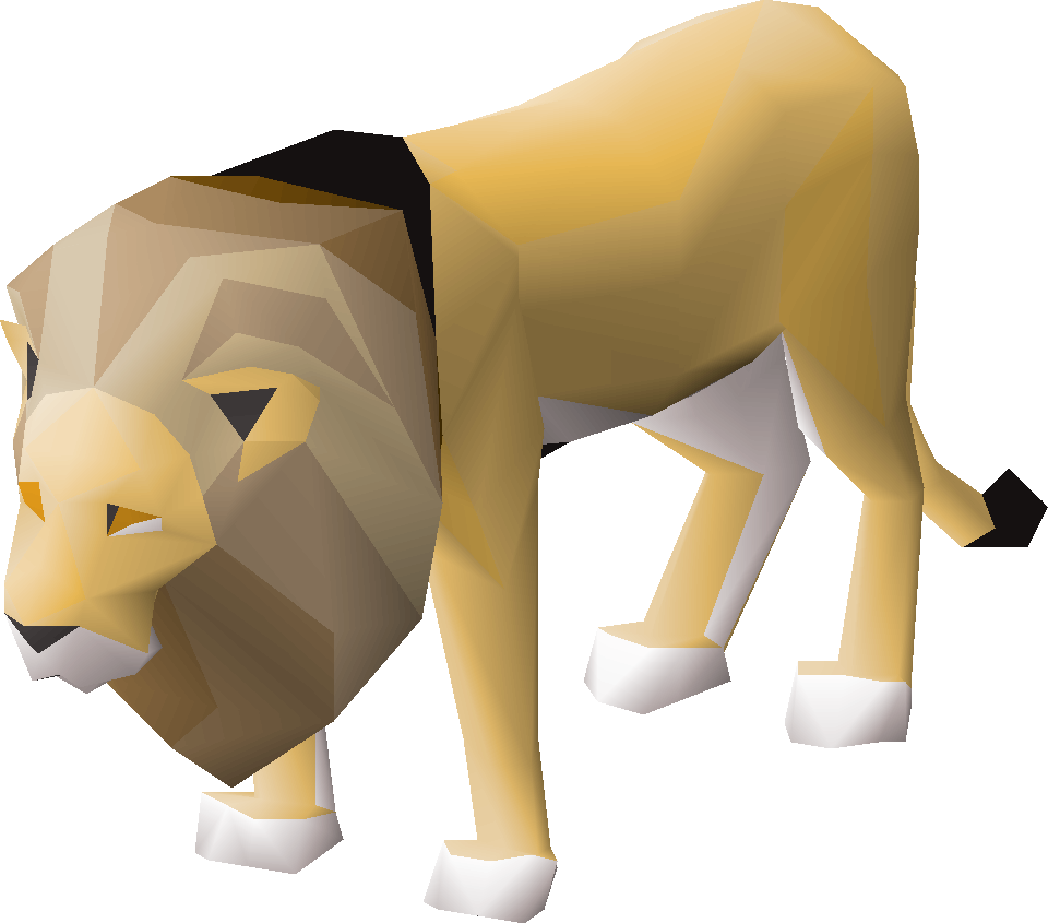 Male lion