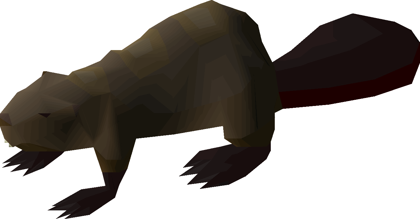 Beaver