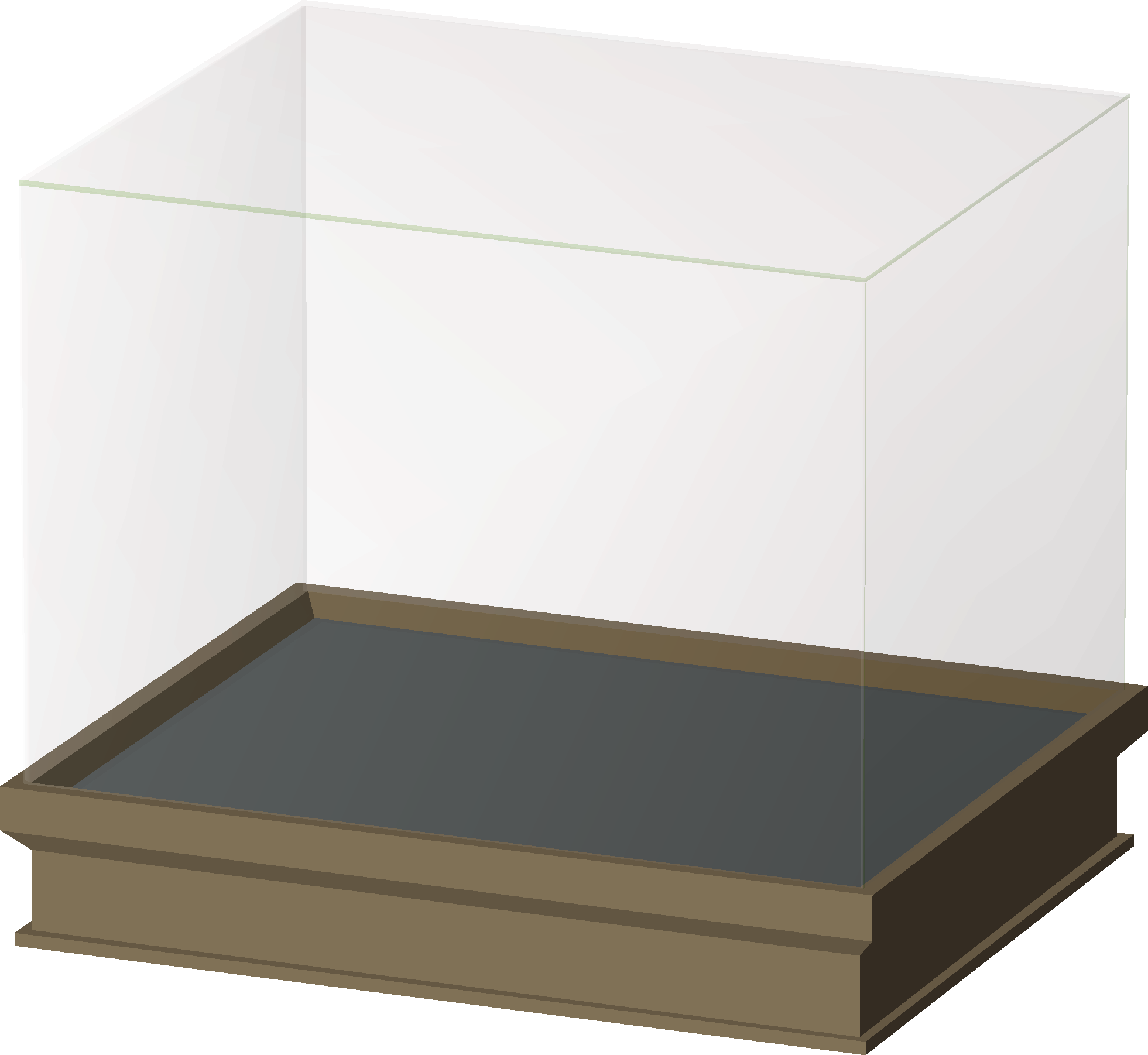 Medium Fossil Display (Mushtoise)