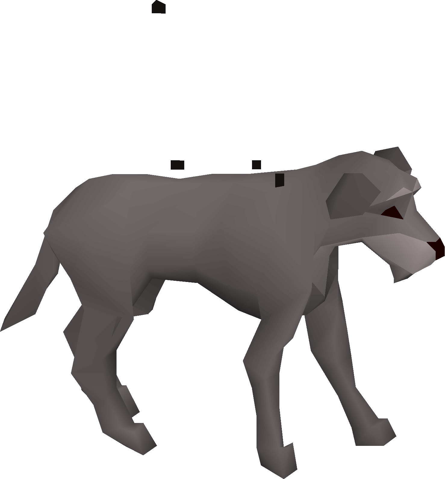Stray dog (Meiyerditch)