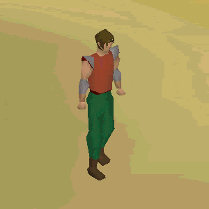 The Speedy home teleport animation.