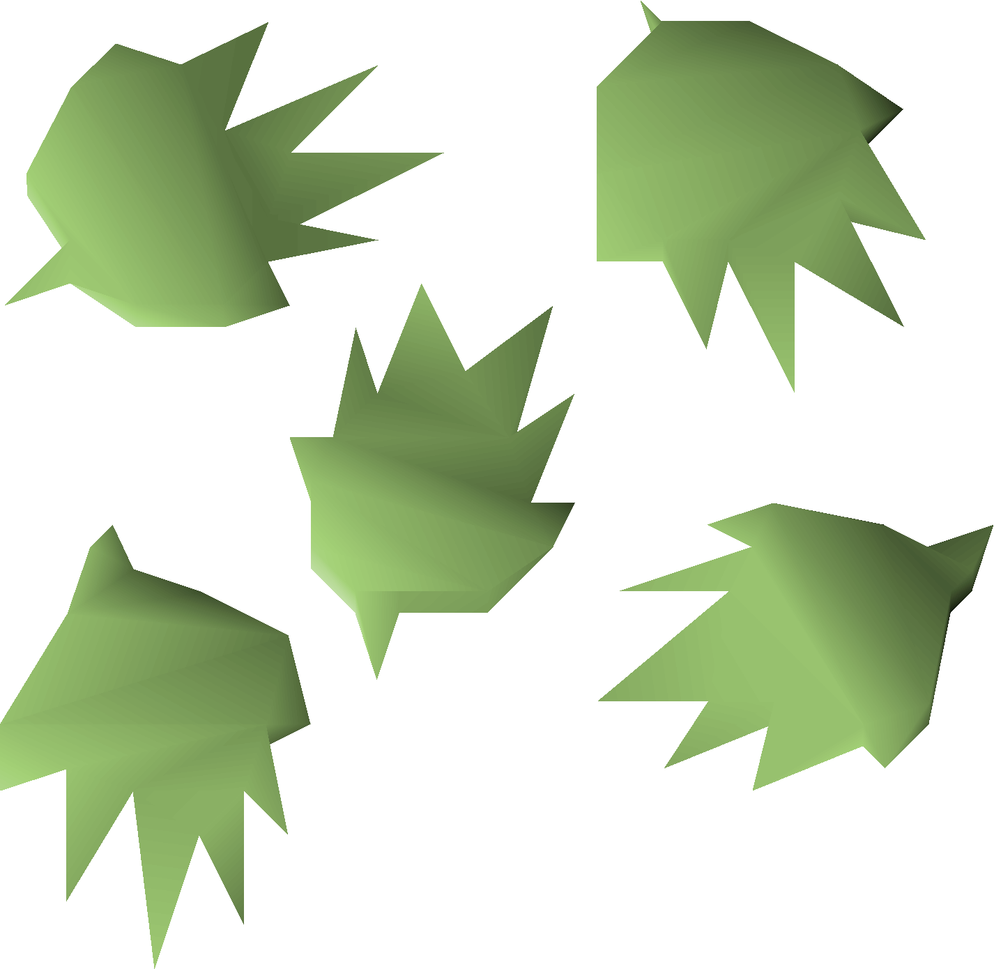 Baby elkhorn coral