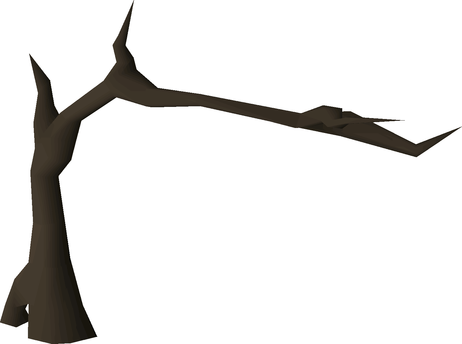 Tall tree (Mountain Daughter)